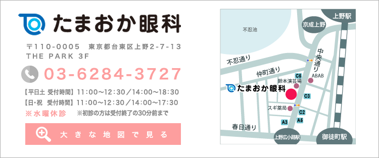 アクセスマップ